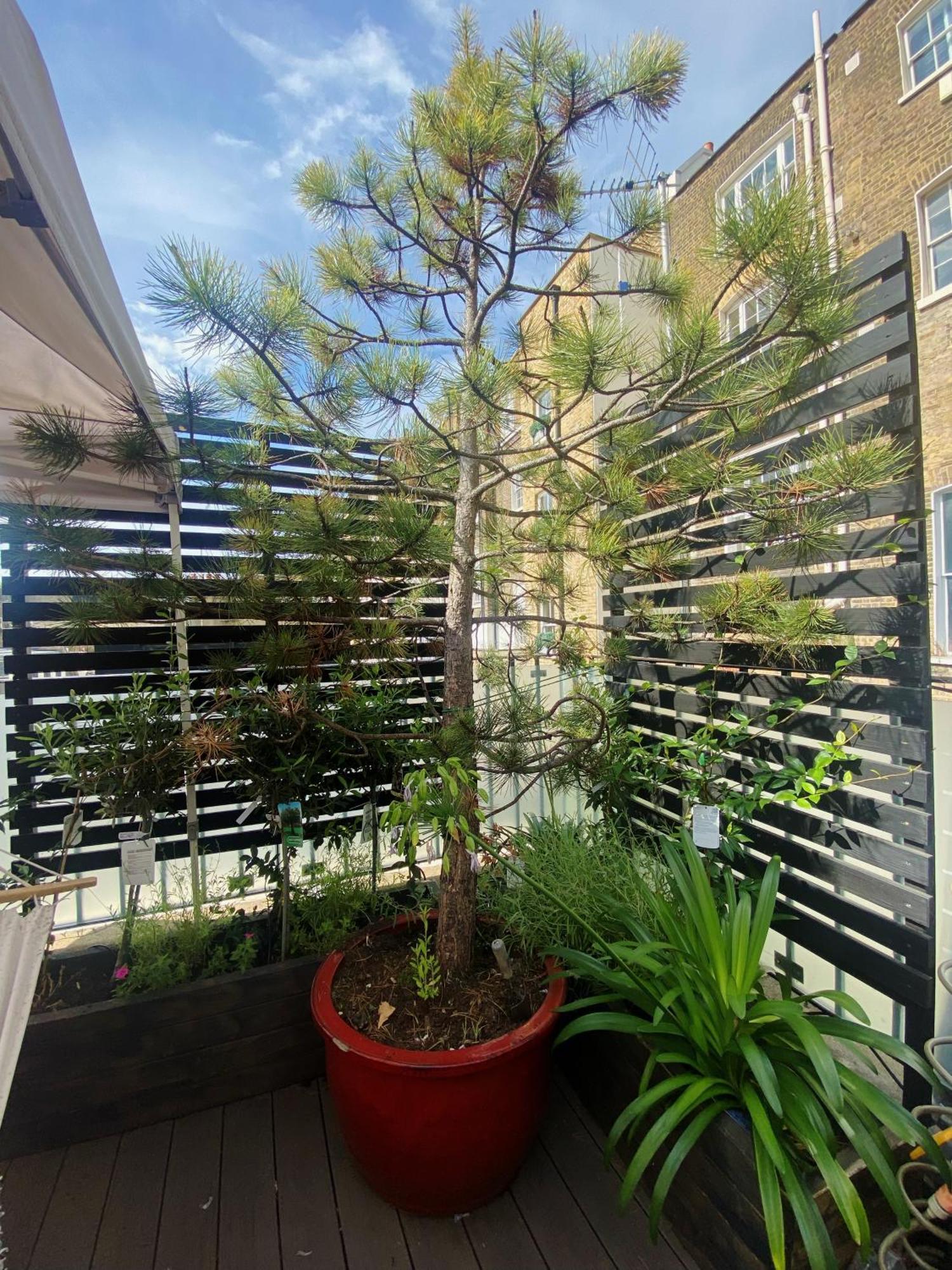 Luxury Belgrave Square Private Mews Townhouse Villa London Kültér fotó